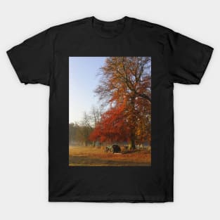 Autumn morning on Church Meadow T-Shirt